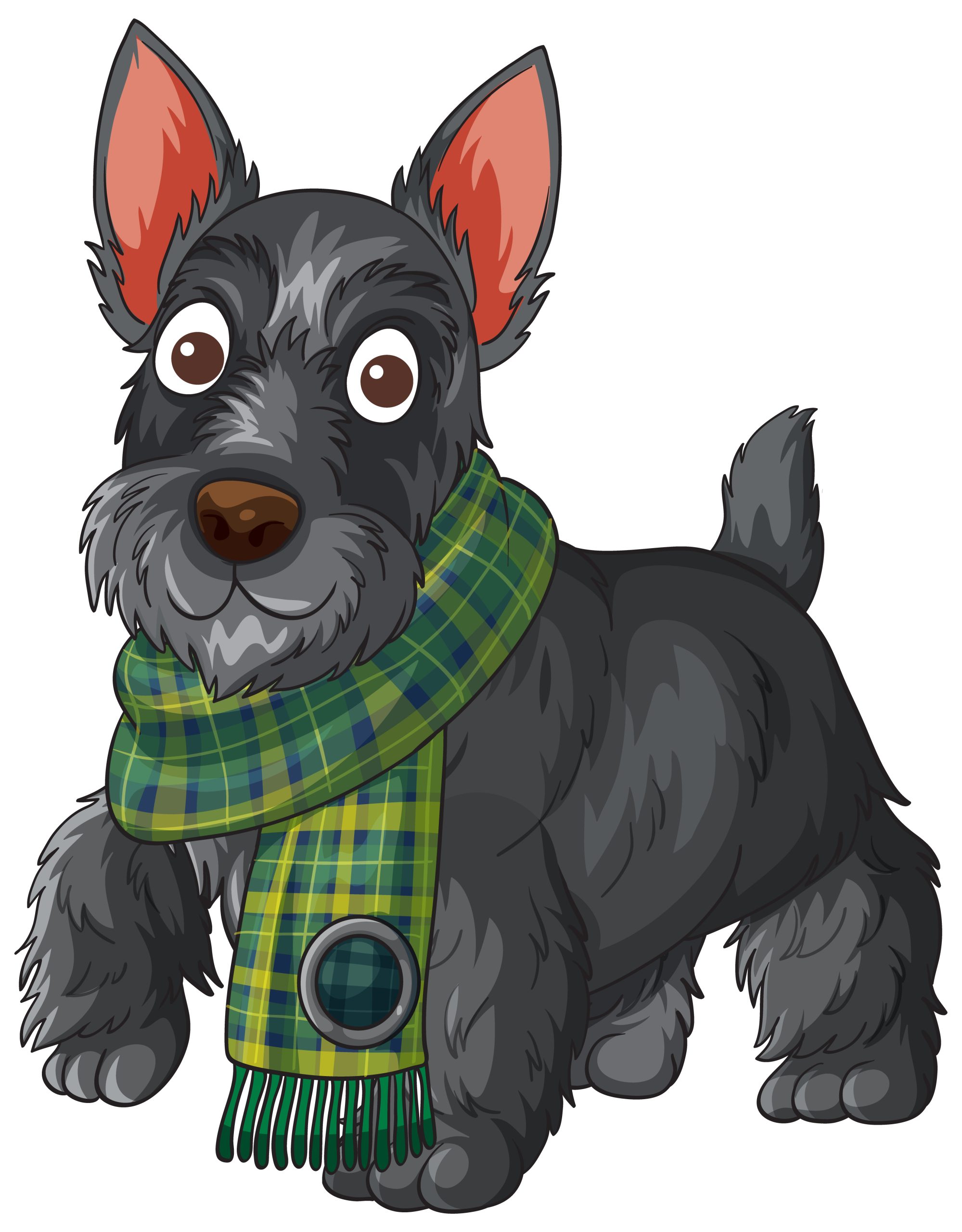 Cartoon Scottish Terrier dog with black fur and green plaid scarf, isolated on white background.